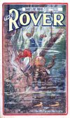 Cover For The Rover 41