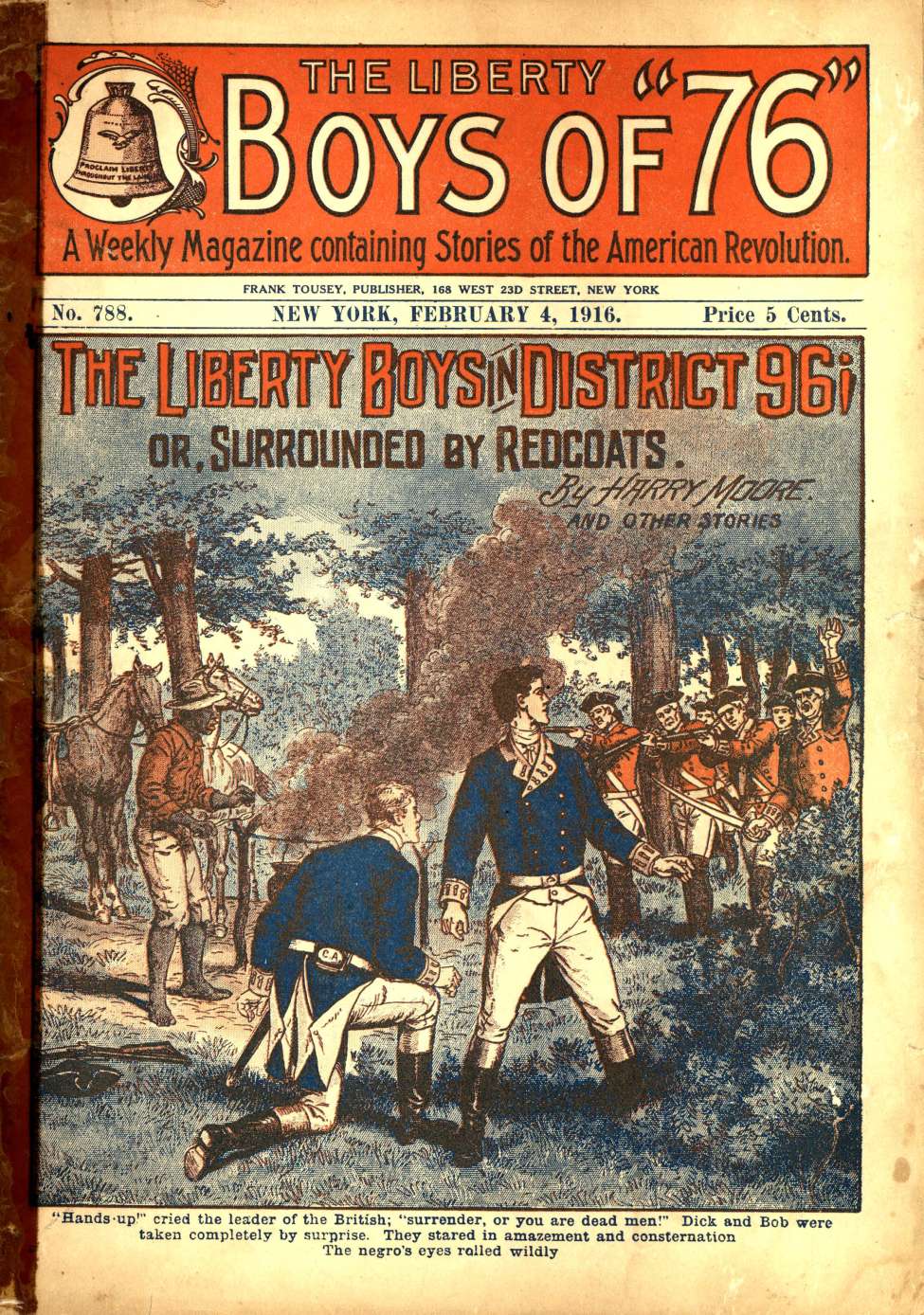 Book Cover For The Liberty Boys of 76 788 - The Liberty Boys in District 96