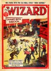 Cover For The Wizard 759