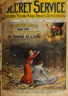 Cover For Secret Service 363 - The Bradys and the Pit of Death