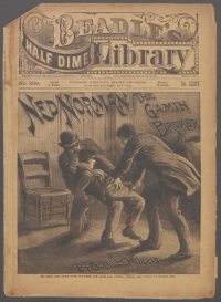 Large Thumbnail For Beadle's Half Dime Library 869 - Ned Norman, the Gamin Broker