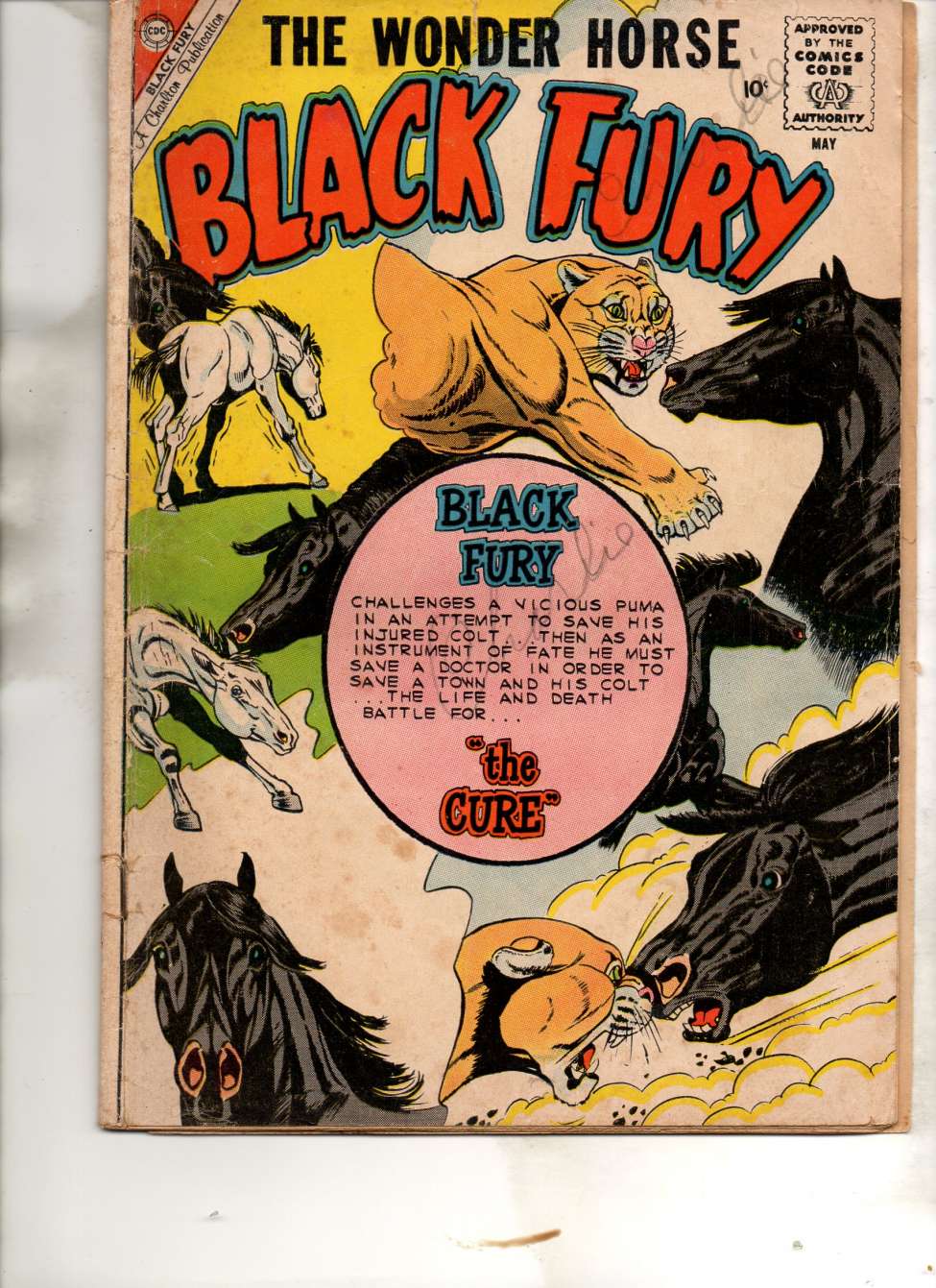 Book Cover For Black Fury 24