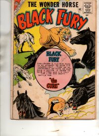 Large Thumbnail For Black Fury 24