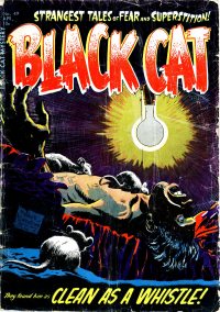 Large Thumbnail For Black Cat 49 (Mystery)