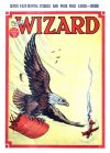 Cover For The Wizard 751