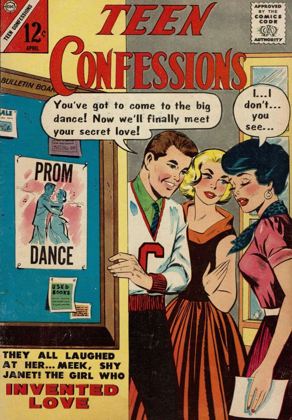 Book Cover For Teen Confessions 22