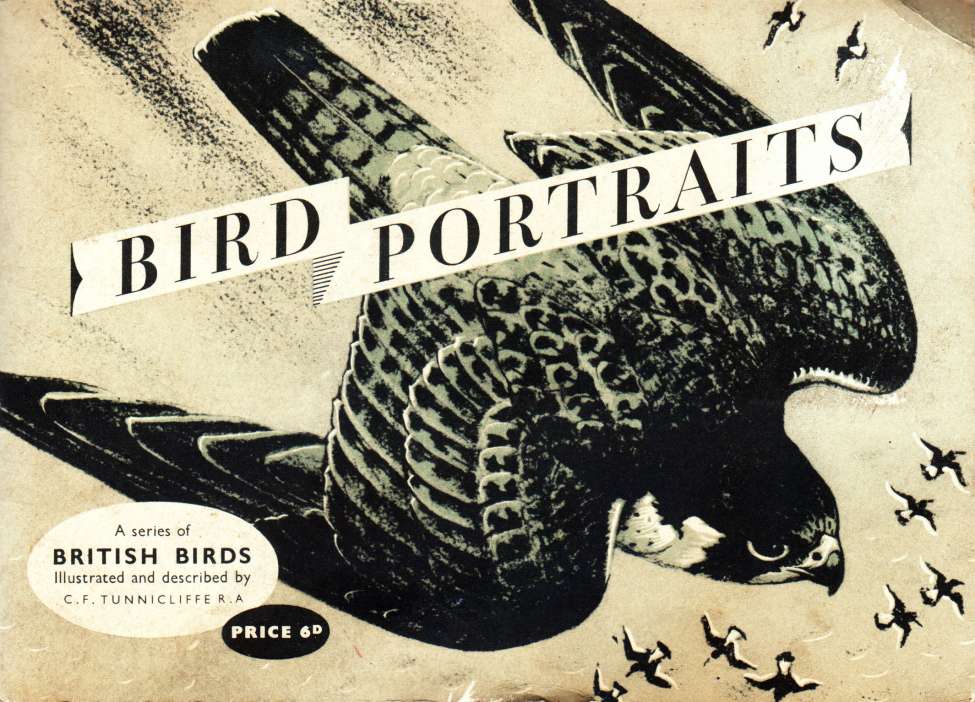 Book Cover For Bird Portraits 1957
