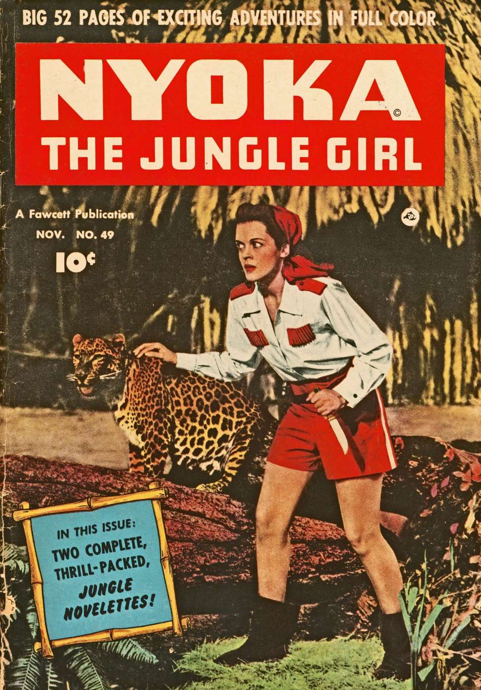 Book Cover For Nyoka the Jungle Girl 49 - Version 2