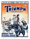 Cover For The Triumph 302