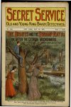 Cover For Secret Service 330 - The Bradys and the Swamp Rats