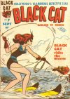 Cover For Black Cat 7