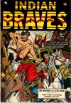 Cover For Indian Braves 3