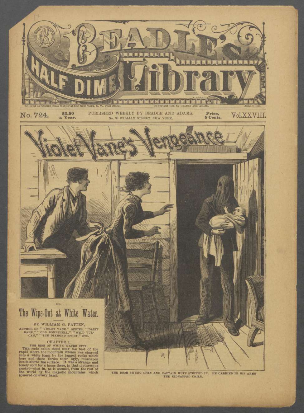 Book Cover For Beadle's Half Dime Library 724 - Violet Vane's Vengeance