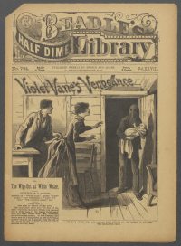 Large Thumbnail For Beadle's Half Dime Library 724 - Violet Vane's Vengeance