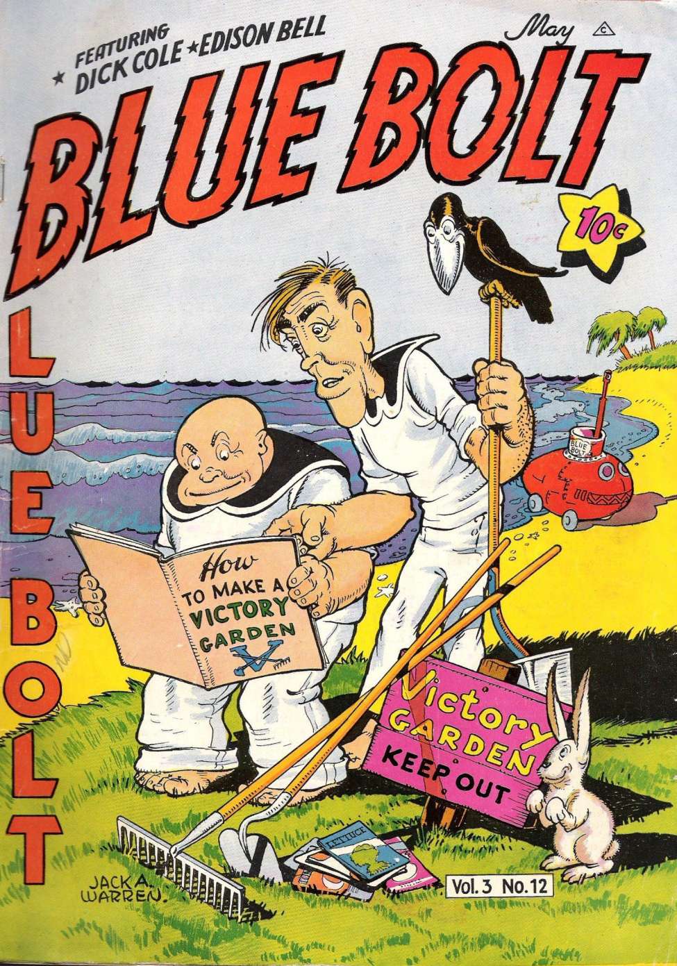 Book Cover For Blue Bolt v3 12