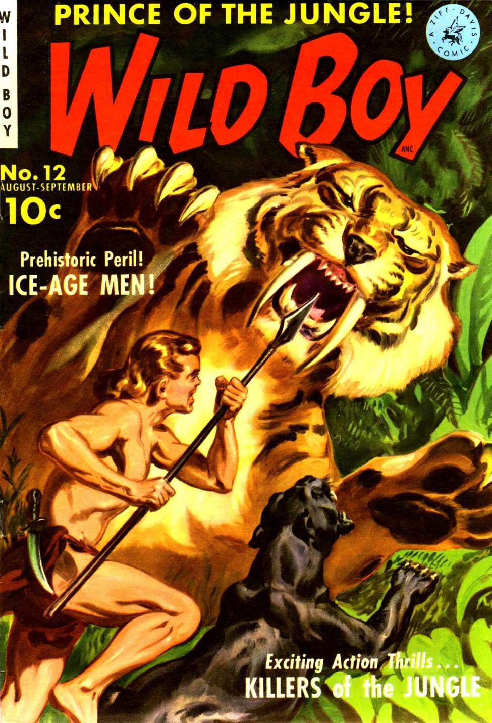 Comic Book Cover For Wild Boy 3 (12)