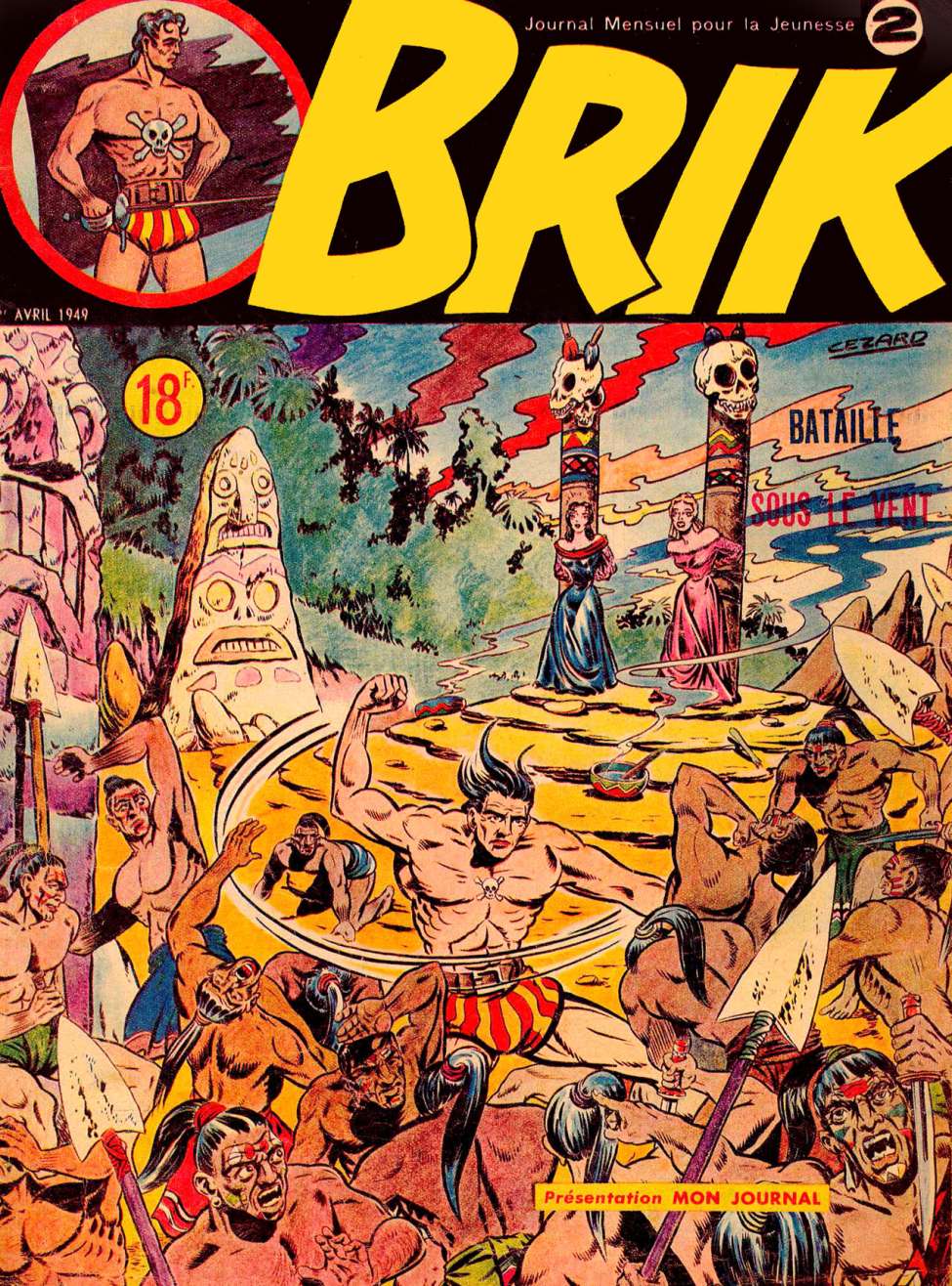 Book Cover For Brik 2