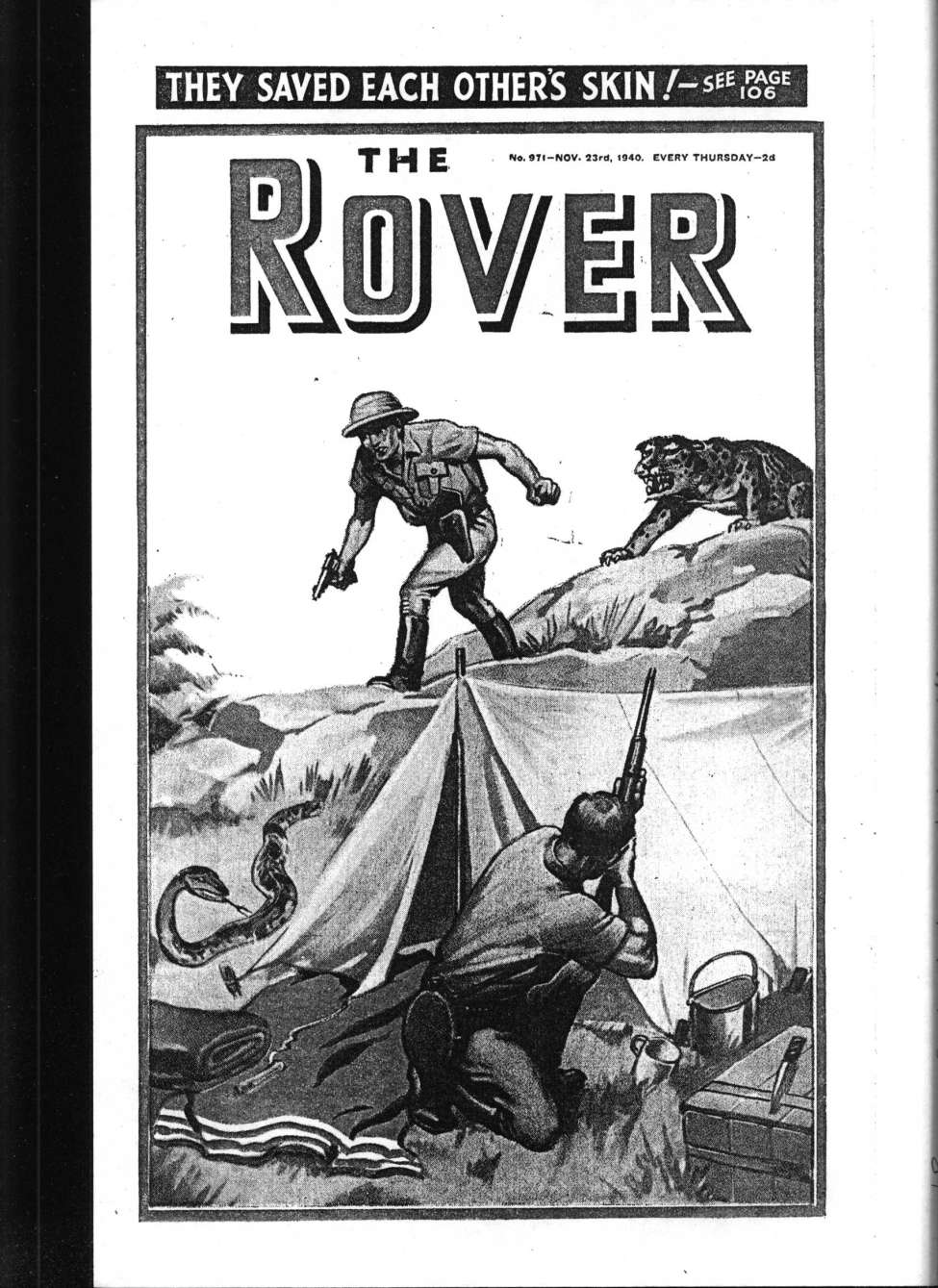 Book Cover For The Rover 971