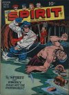 Cover For The Spirit 13
