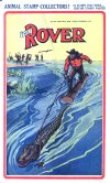 Cover For The Rover 841