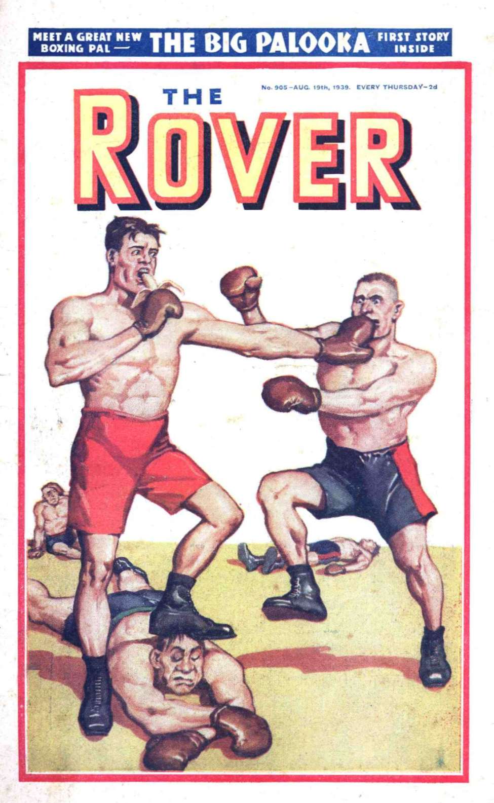 Book Cover For The Rover 905