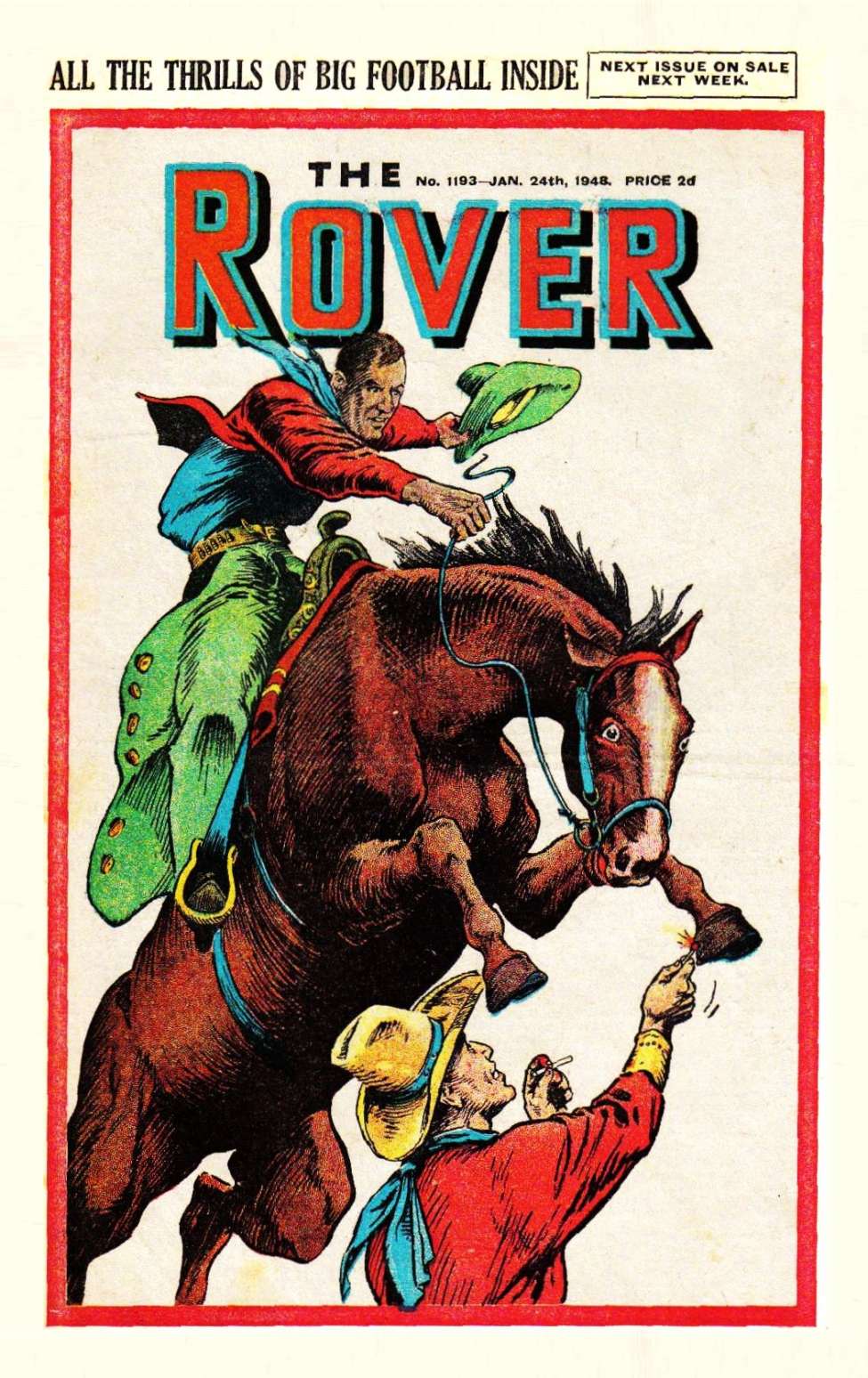 Book Cover For The Rover 1193