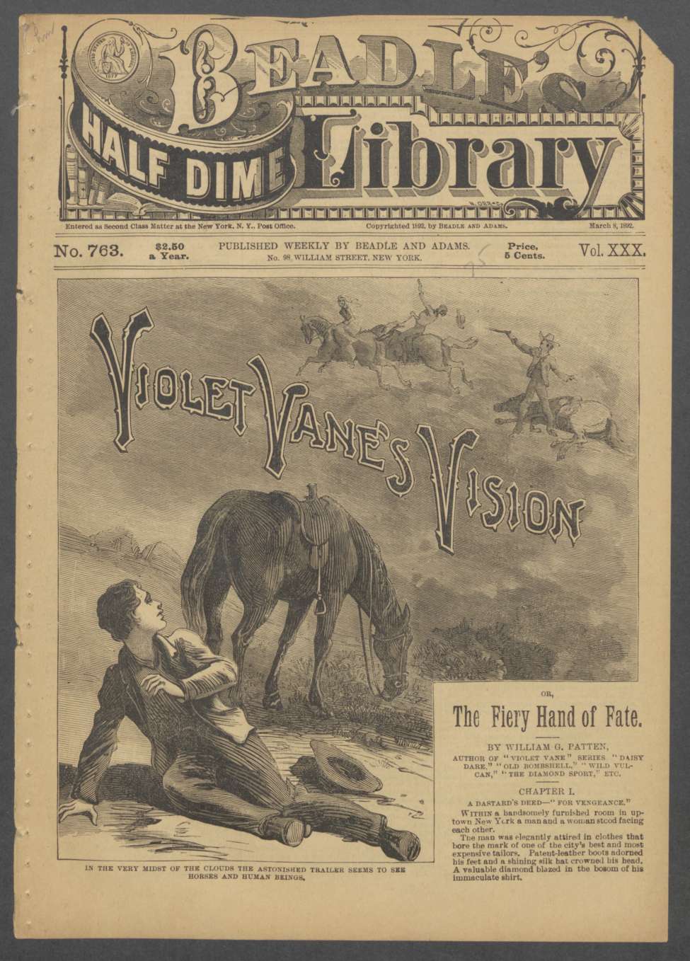 Book Cover For Beadle's Half Dime Library 763 - Violet Vane's Vision