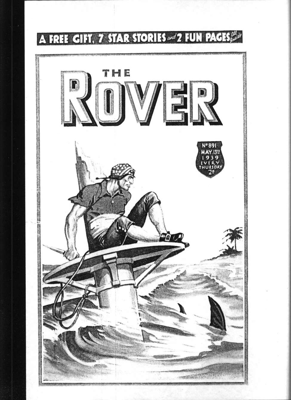 Book Cover For The Rover 891