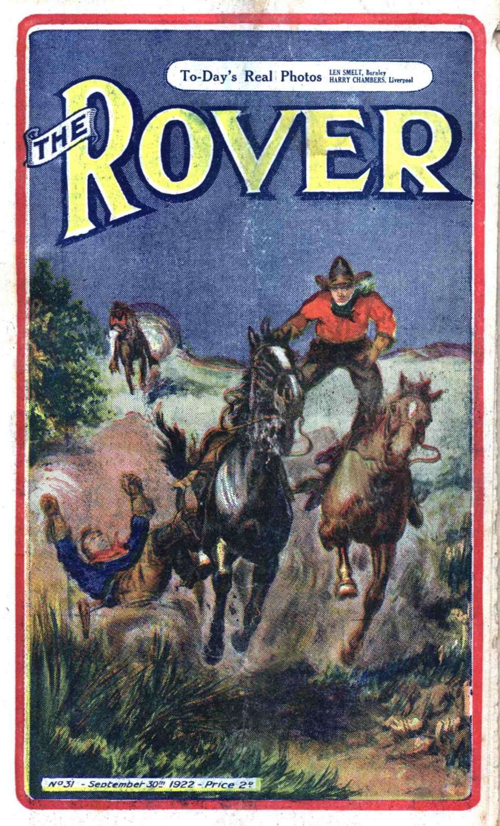 Book Cover For The Rover 31