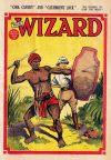 Cover For The Wizard 583