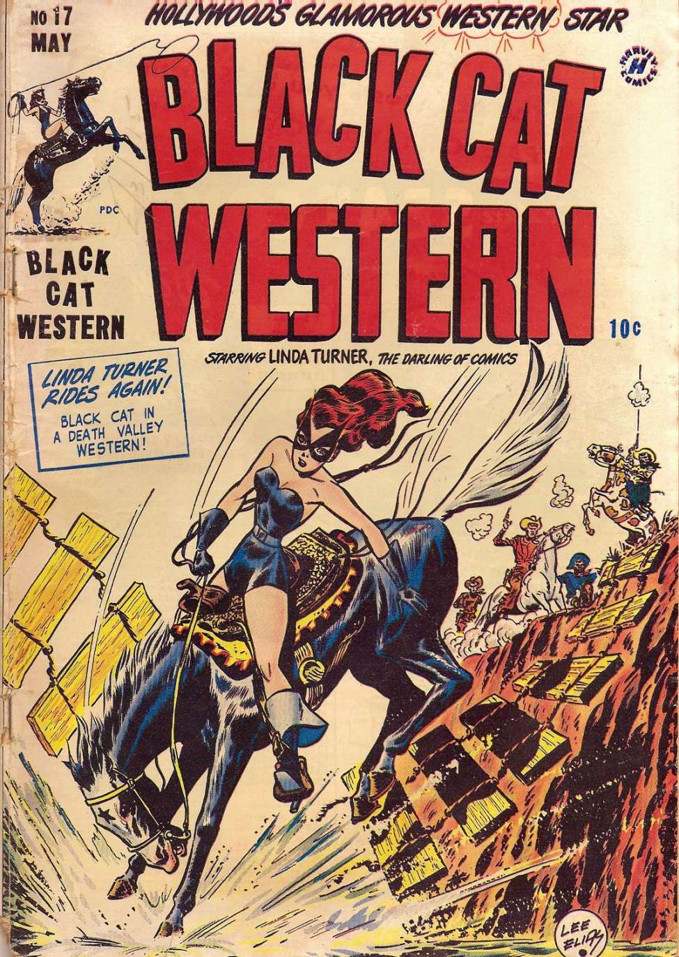 Comic Book Cover For Black Cat 17