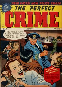 Large Thumbnail For The Perfect Crime 26