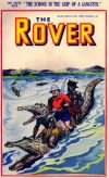Cover For The Rover 999