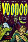 Cover For Voodoo 6