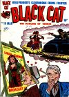 Cover For Black Cat 10