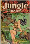 Cover For Jungle Comics 146