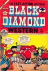 Cover For Black Diamond Western 41