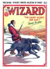 Cover For The Wizard 674