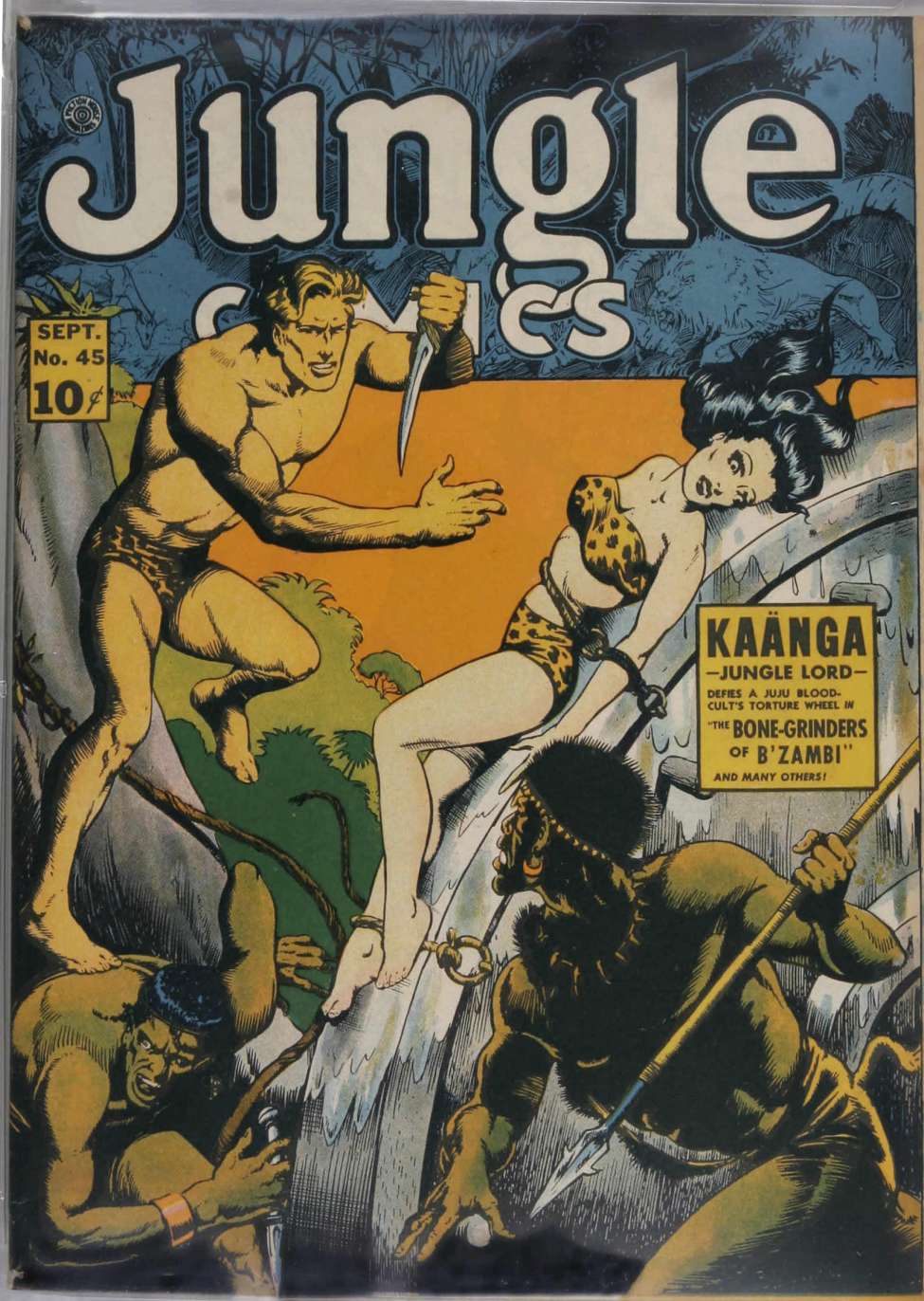Book Cover For Jungle Comics 45