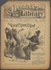 Cover For Beadle's Half Dime Library 705 - Violet Vane's Vow