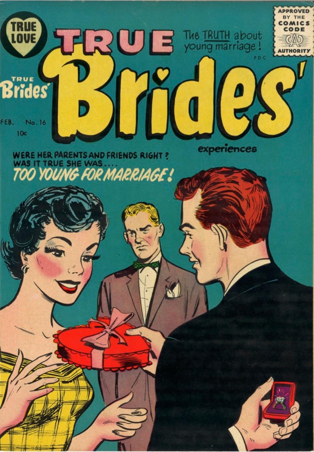Comic Book Cover For True Brides' Experiences 16