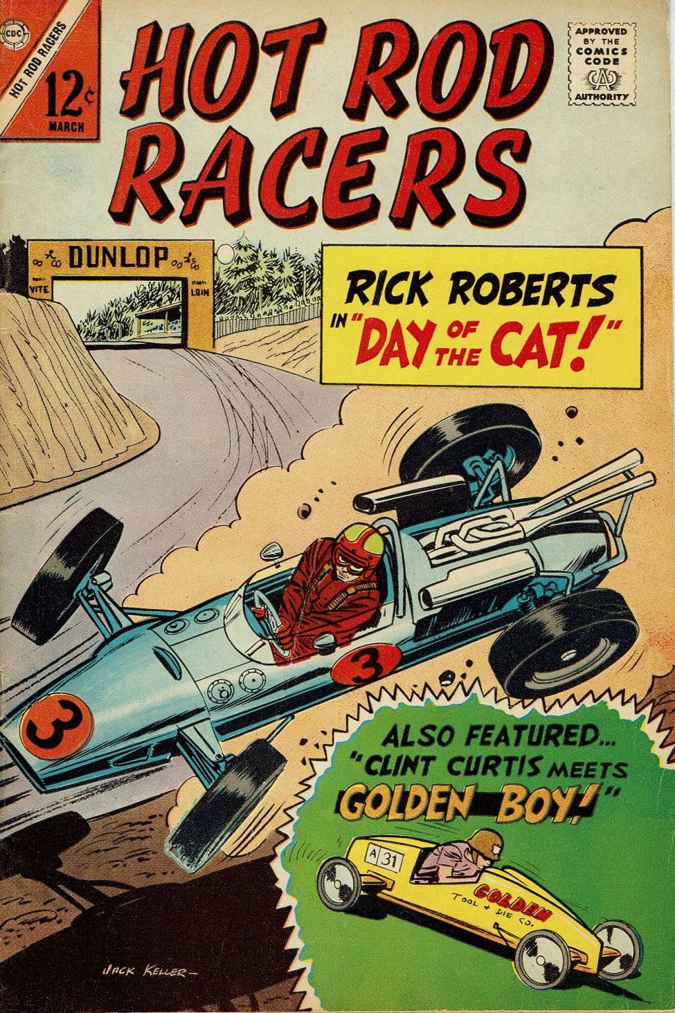 Book Cover For Hot Rod Racers 13