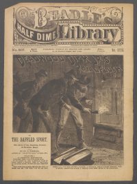 Large Thumbnail For Beadle's Half Dime Library 807 - Deadwood Dick Jr.'s Royal Flush