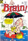 Cover For The Brain 4