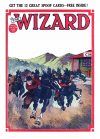 Cover For The Wizard 675