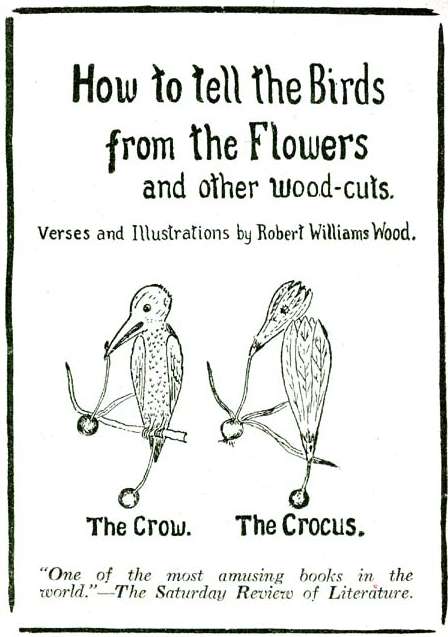 Book Cover For How to Tell the Birds from the Flowers