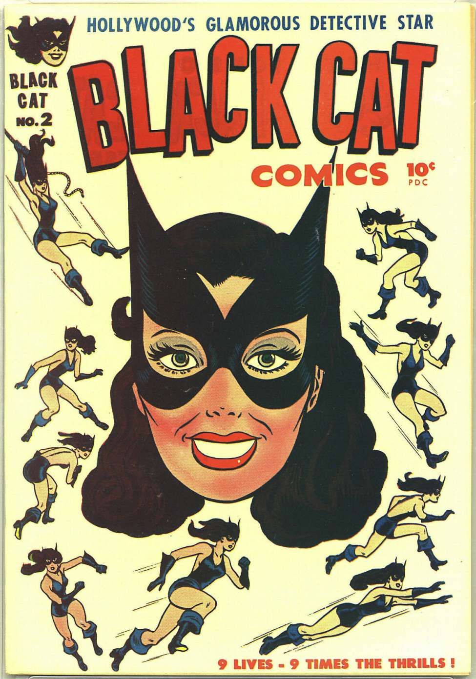 Book Cover For Black Cat 2