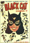 Cover For Black Cat 2