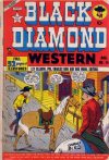 Cover For Black Diamond Western 14