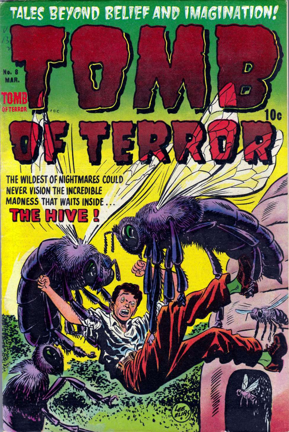 Book Cover For Tomb of Terror 8